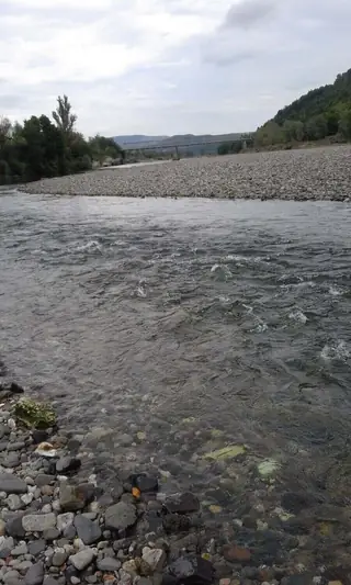 Река Арда