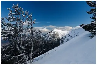 Цари връх