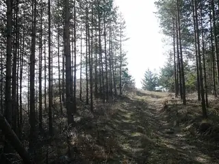 Връх Плоча