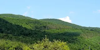 Защитена местност "Еледжик"
