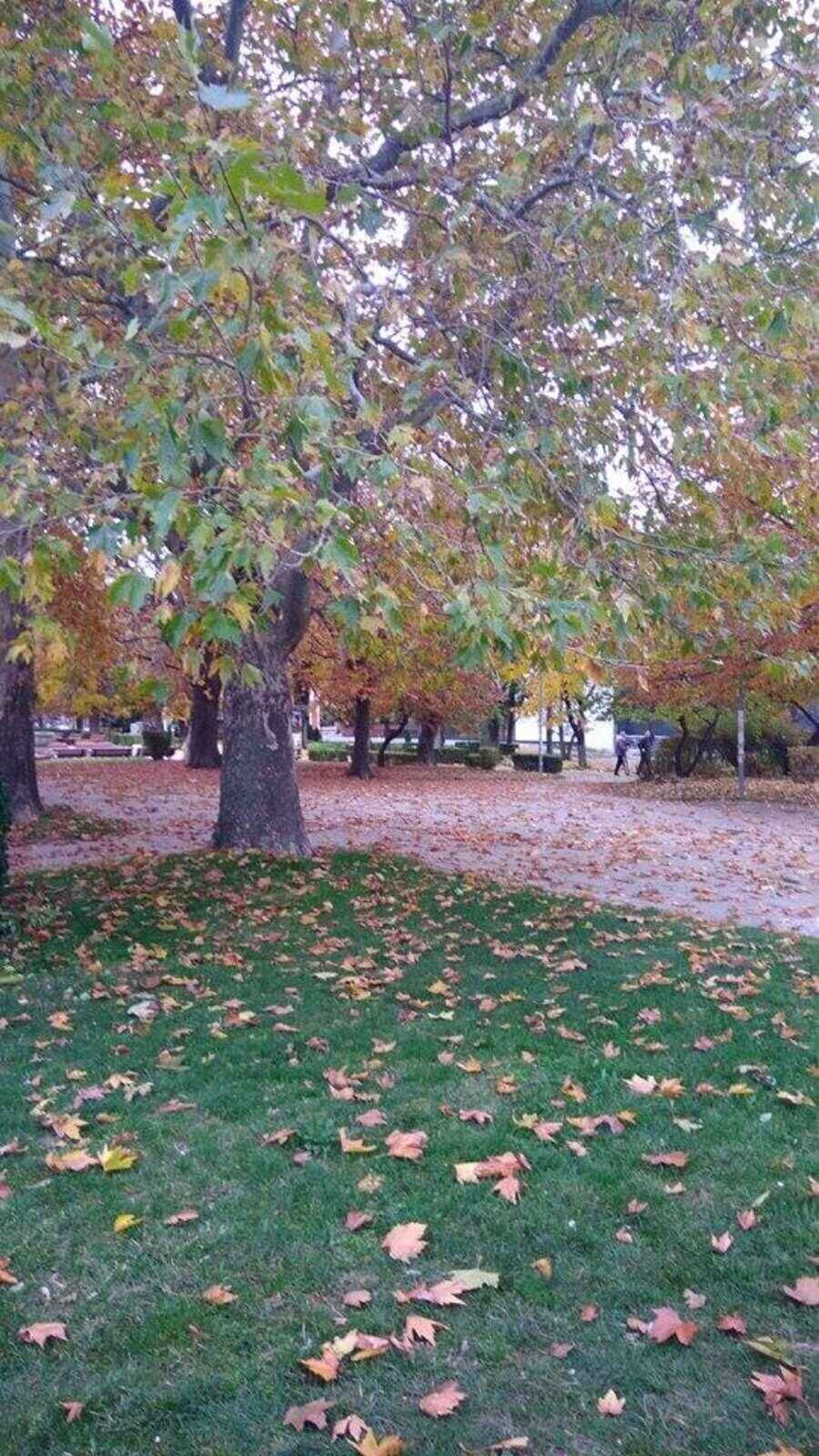 Попската градинка - Сливен